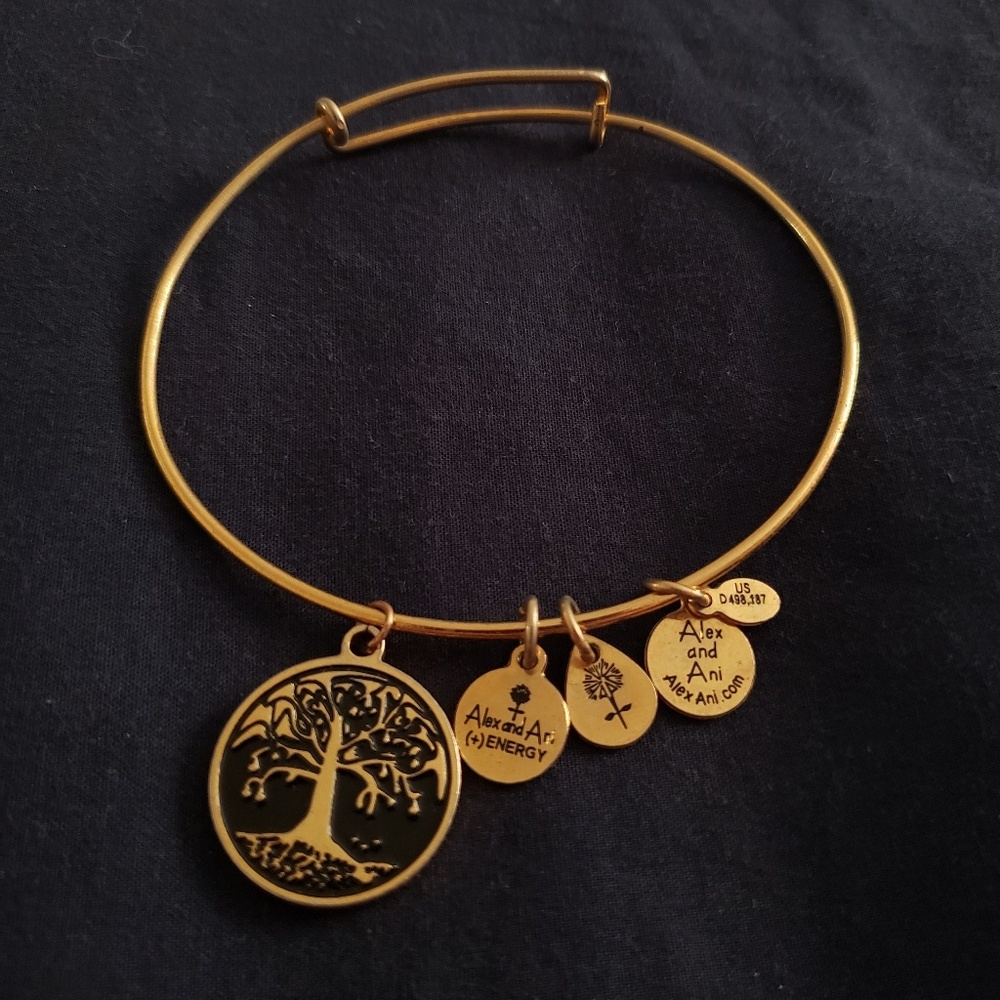 ❤Alex and Ani energy bracelet